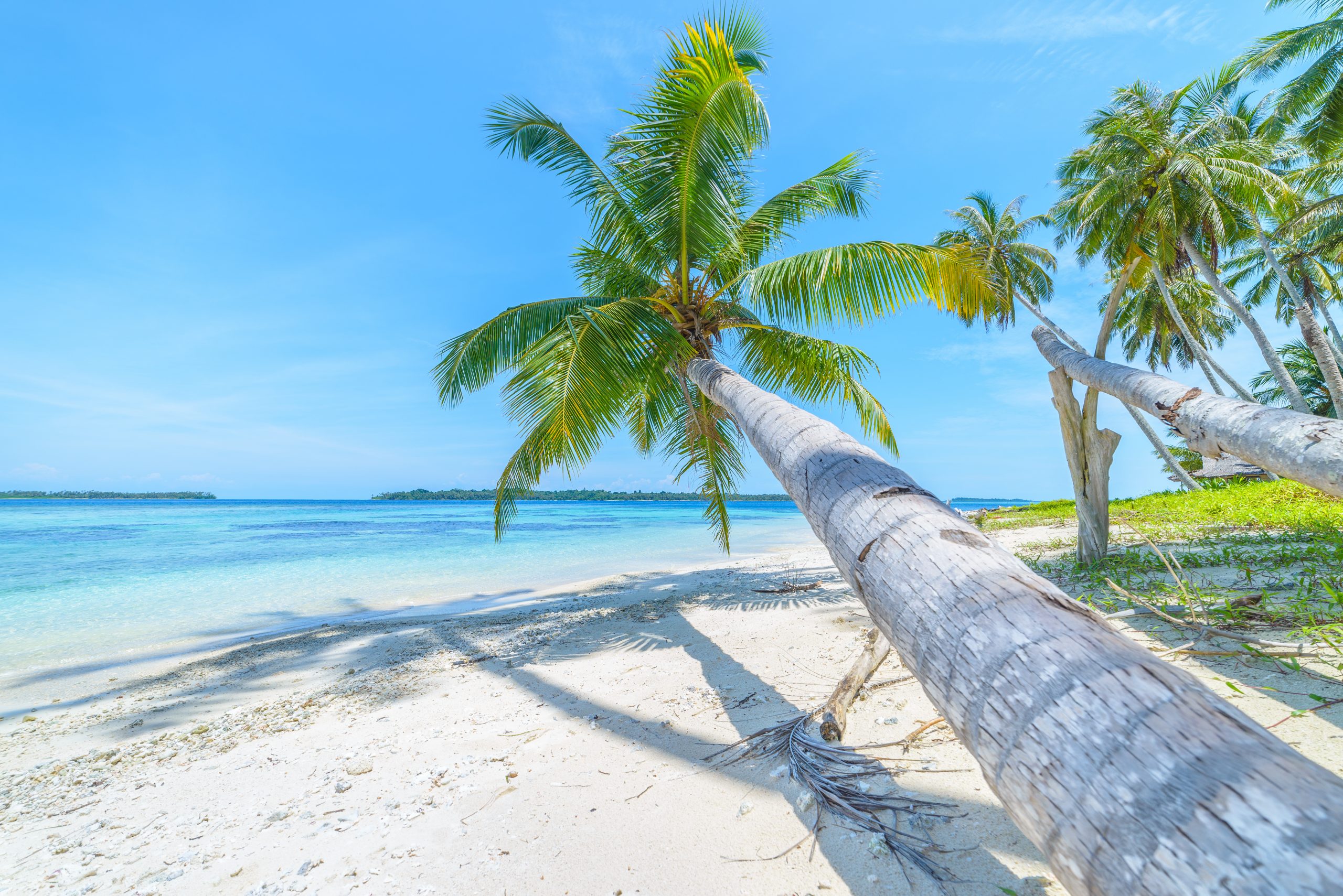 The Top Romantic Shore Excursions for Honeymooners Visiting Nassau, Bahamas